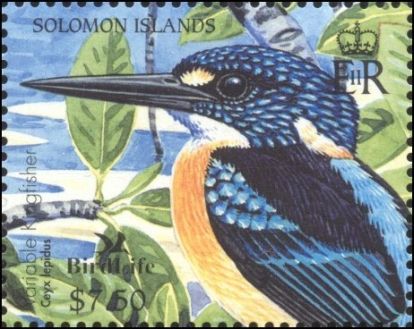 Ceyx lepidus - Зимородок трехпалый